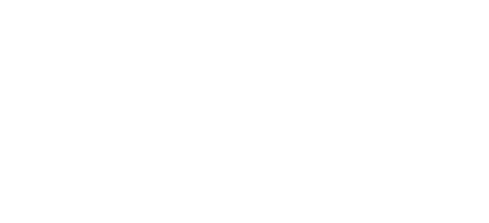 Logo ebm international