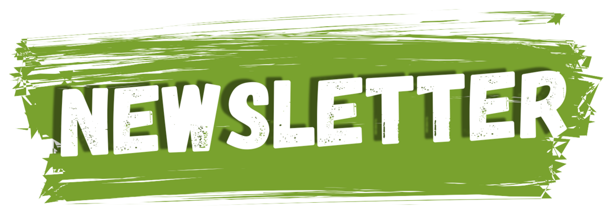 Schriftzug 'NEWSLETTER' auf grünem Pinselstrich-Hintergrund